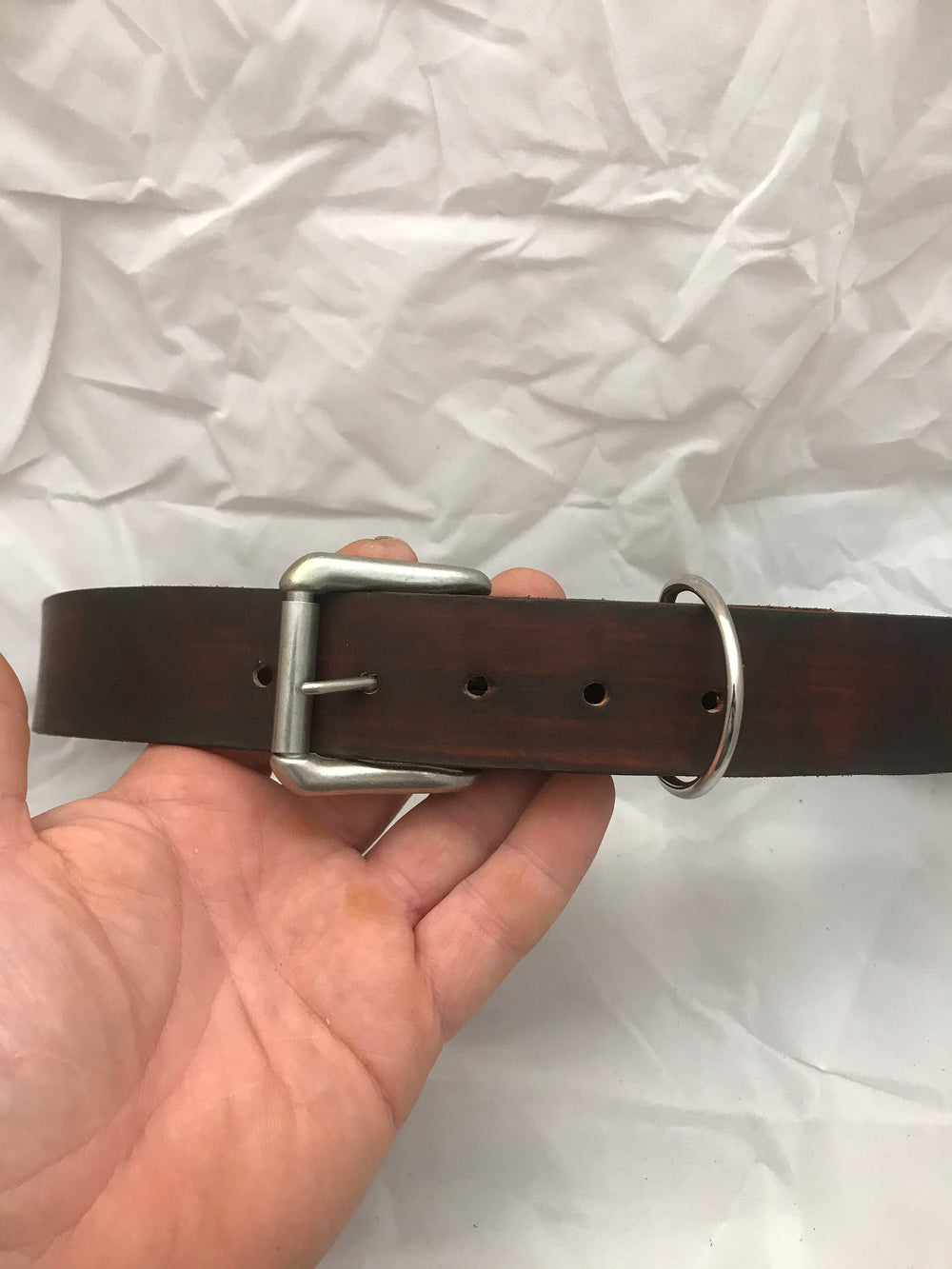 1.5” wide dog collar for large and muscular dogs